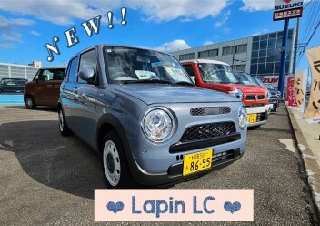 ★　スズキの日開催中　★